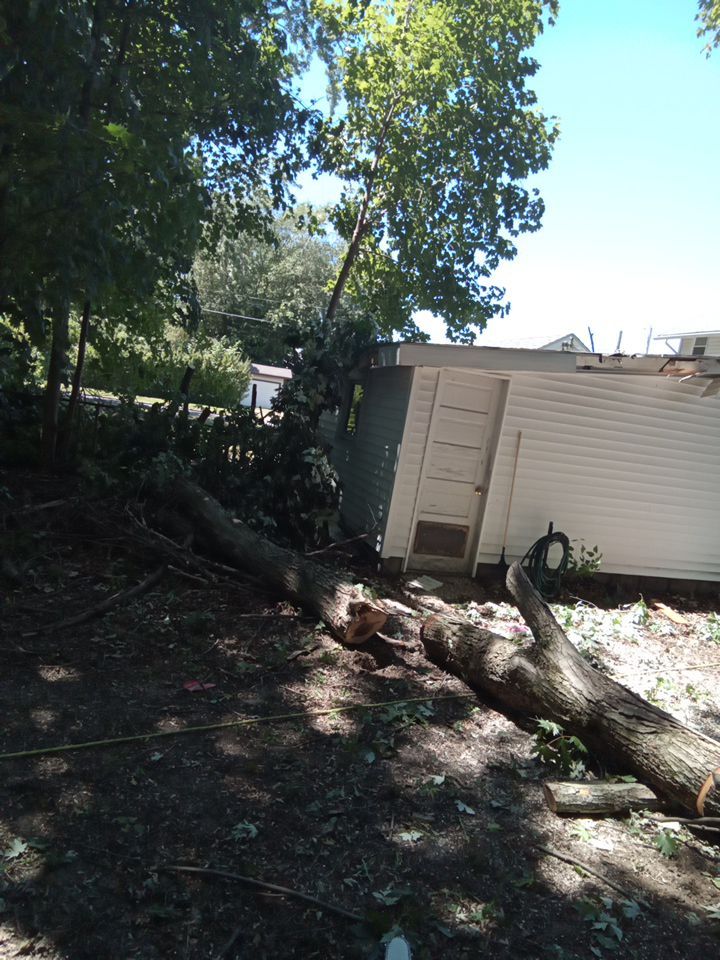 Storm Damaged Tree Removal  using Tree Removal by Mike Jones & Sons Tree Service LLC 