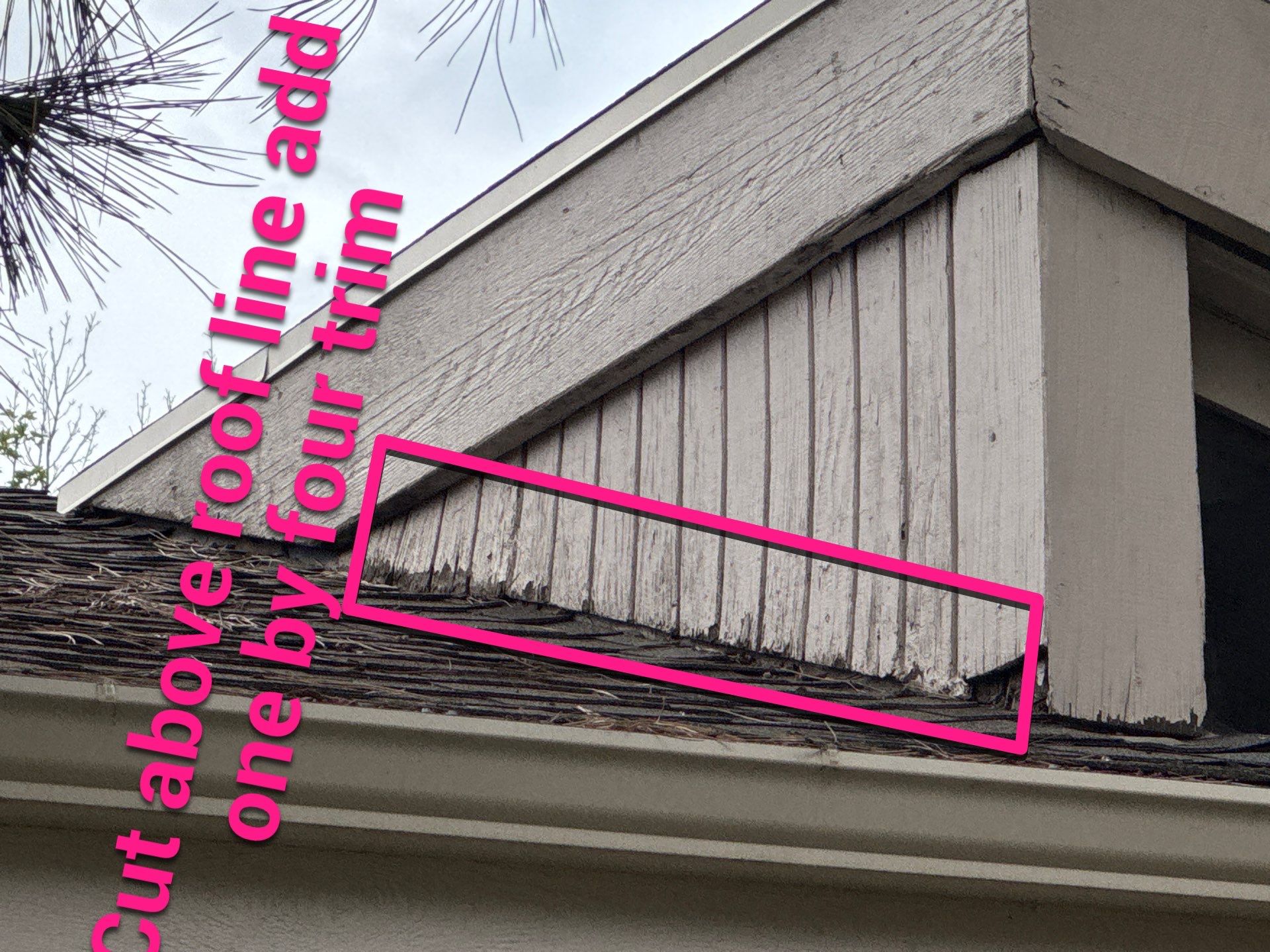 Siding Restoration in Rockrimmon by Carroll Painting LLC