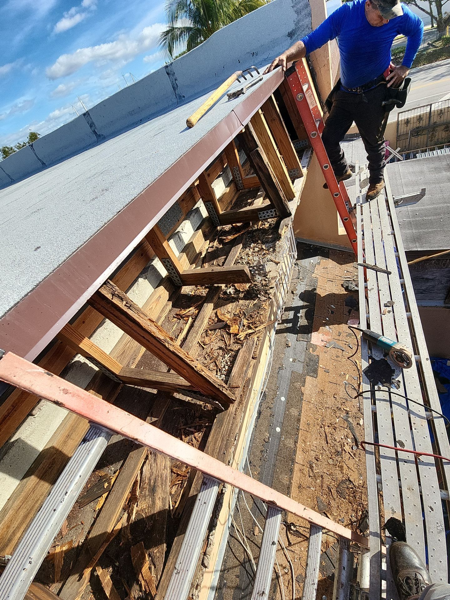Mansard shingles and flat by Windows Roofs Plus Inc.