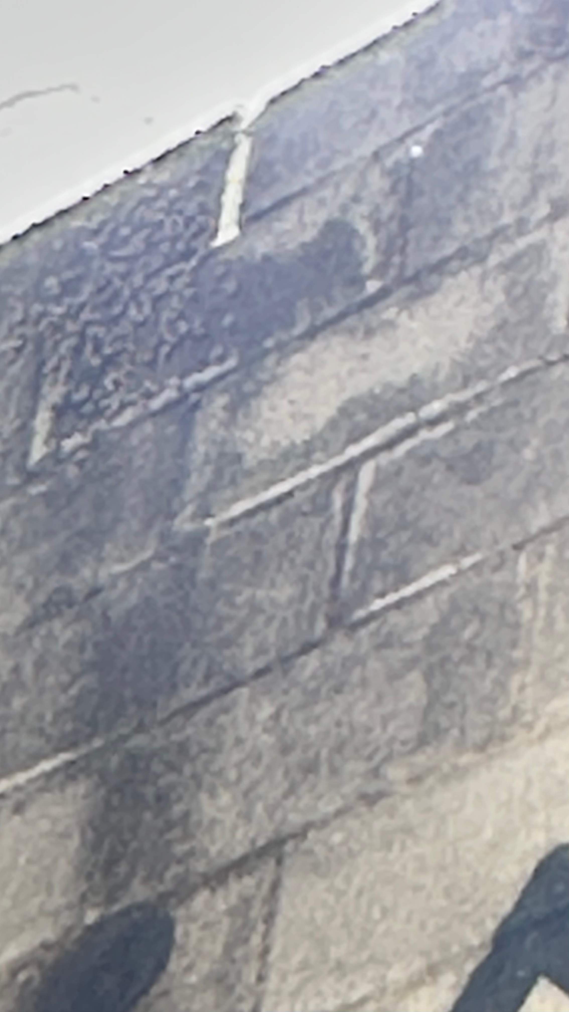 Art Gallery by Rockwall Honey Bee Company