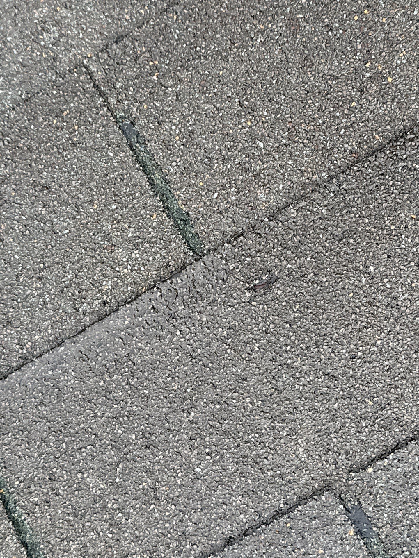 Project in Hanover by Elvis General Construction LLC