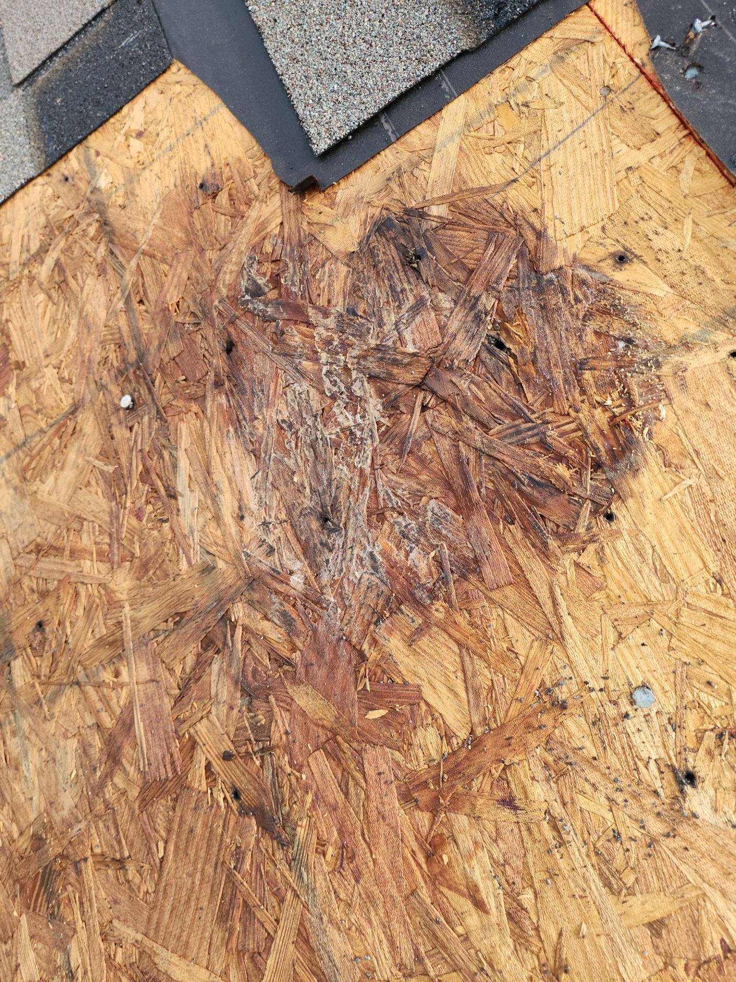 Hail Damage using Owen's Corning Duration (Lifetime) Shingles by Roof Repair Company