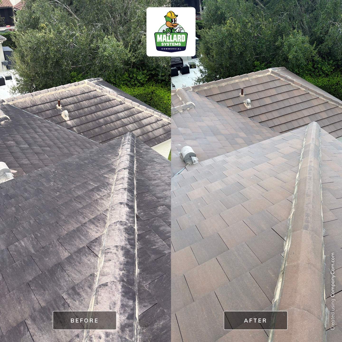 Tile Roof Cleaning in Winter Park by Mallard Systems