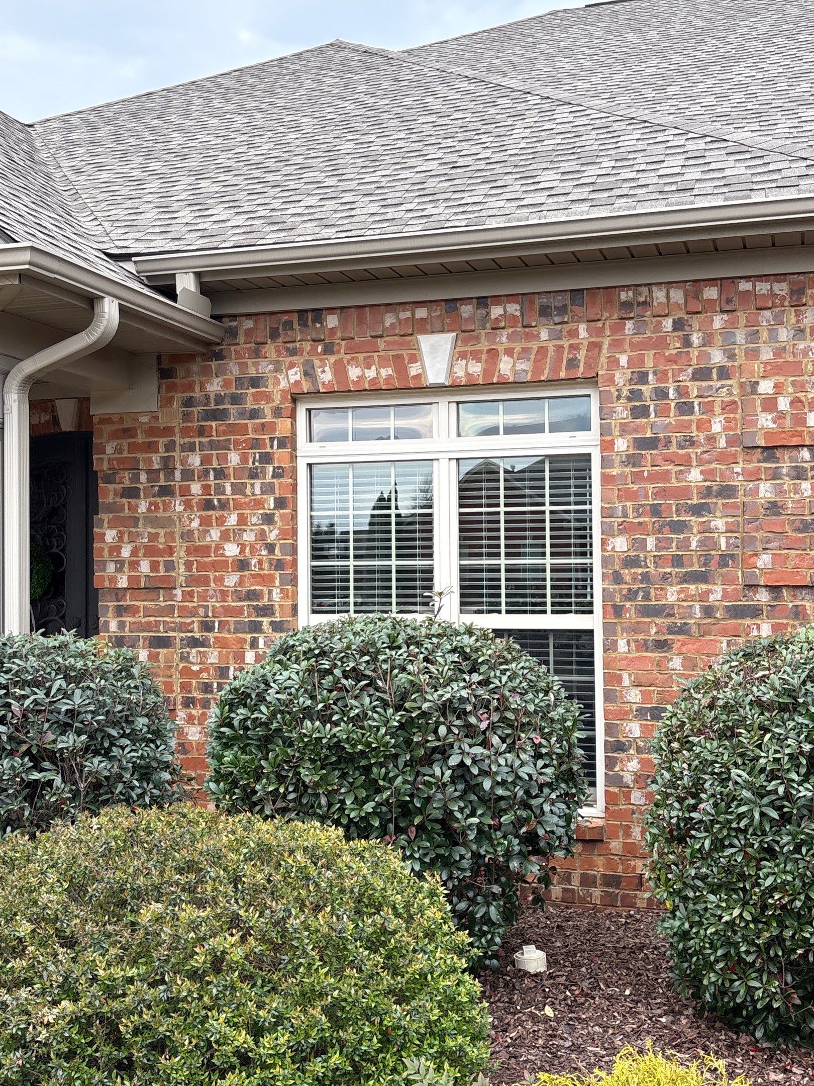 Faux Wood Blinds Project in Madison by Blinds and Borders