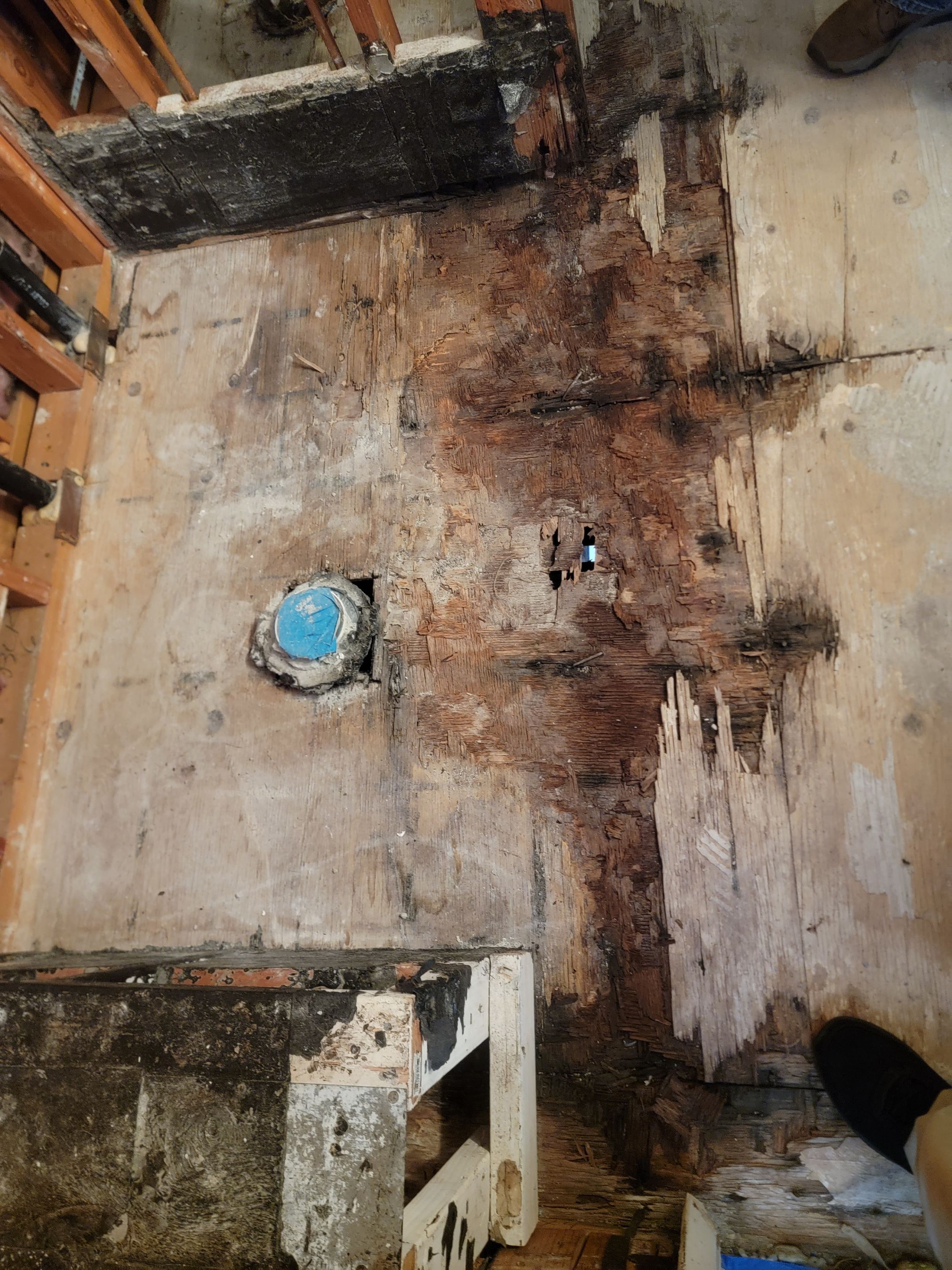 Water Damage and Restoration Completion by Smart Dry Restoration