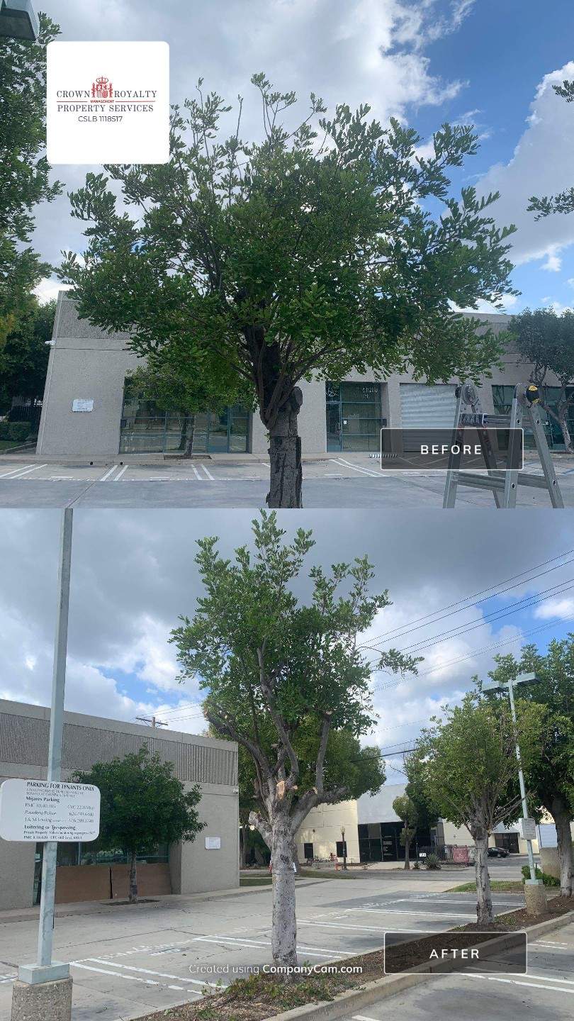 Before and After - ICSC by Crown Royalty Property Services 