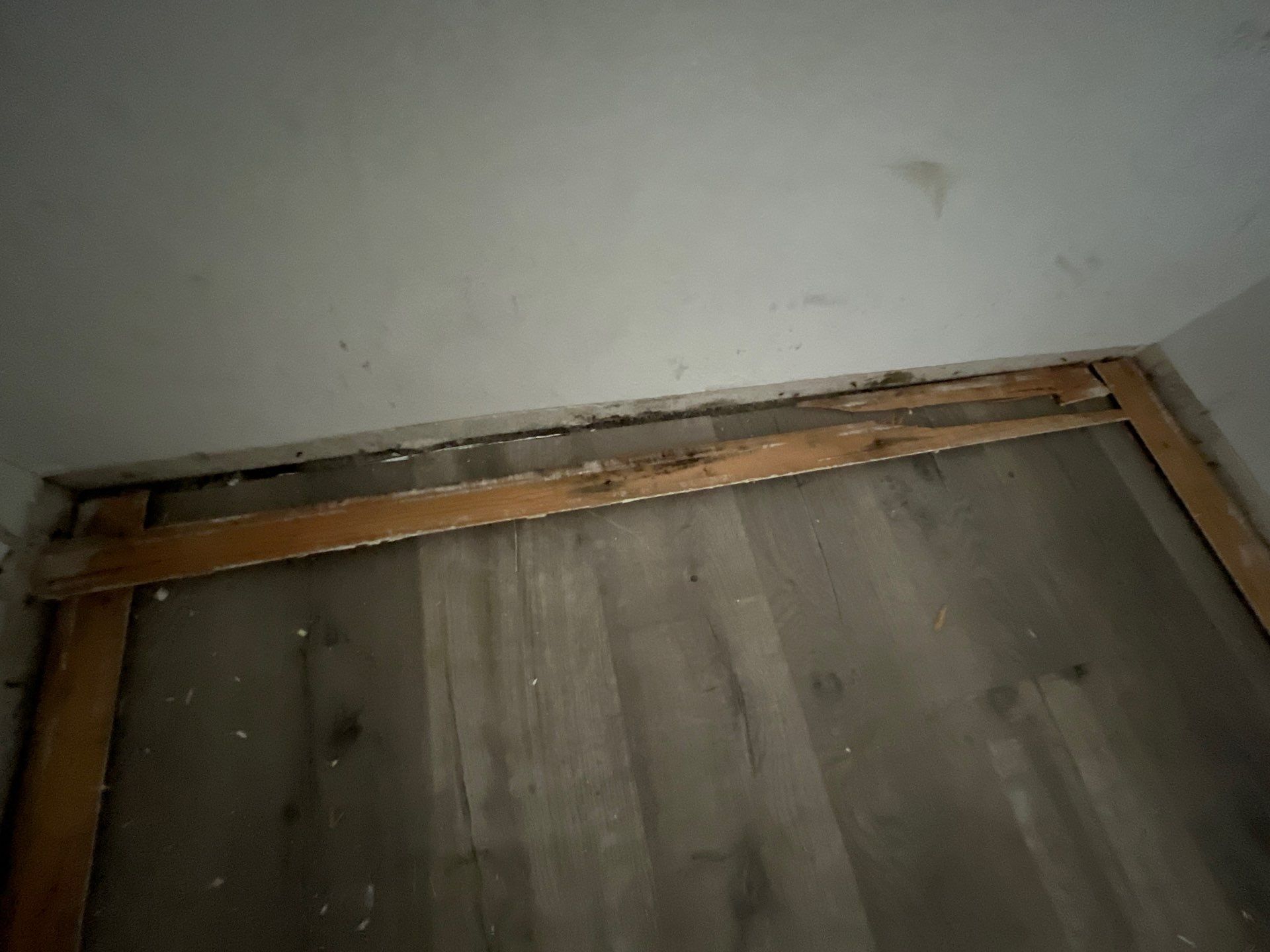 Mold Remediation & Rebuild in Laguna Niguel by One Stop Source