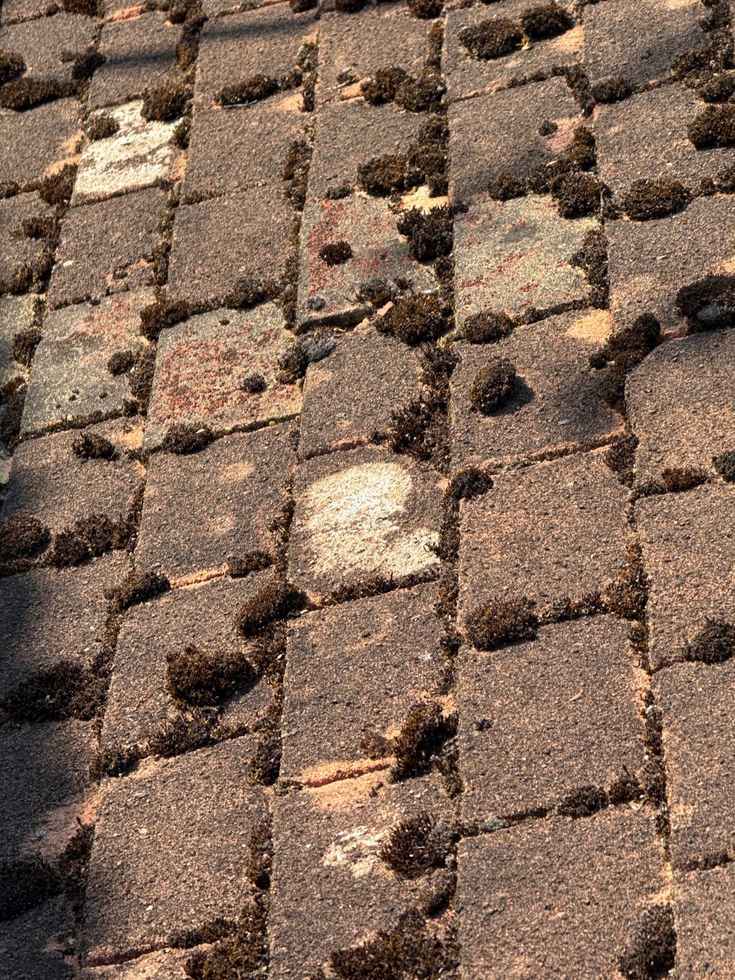 Roof Clean - Gutter Clean - Biocide Treatment by Ges Exterior Cleaning ltd
