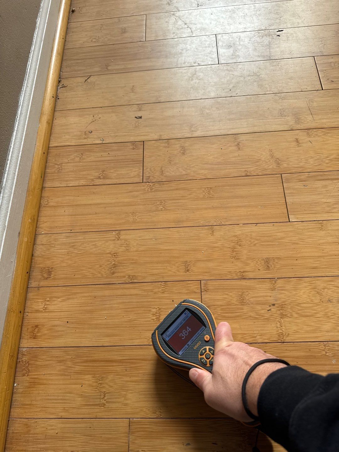 Project in Sterling Heights by EzDry Water Mitigation & Property Restoration