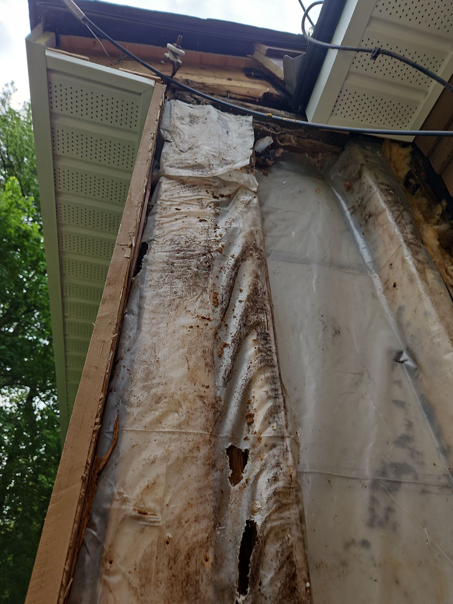Siding & Roofing | Westford by Mighty Dog Roofing of Greater Middlesex County