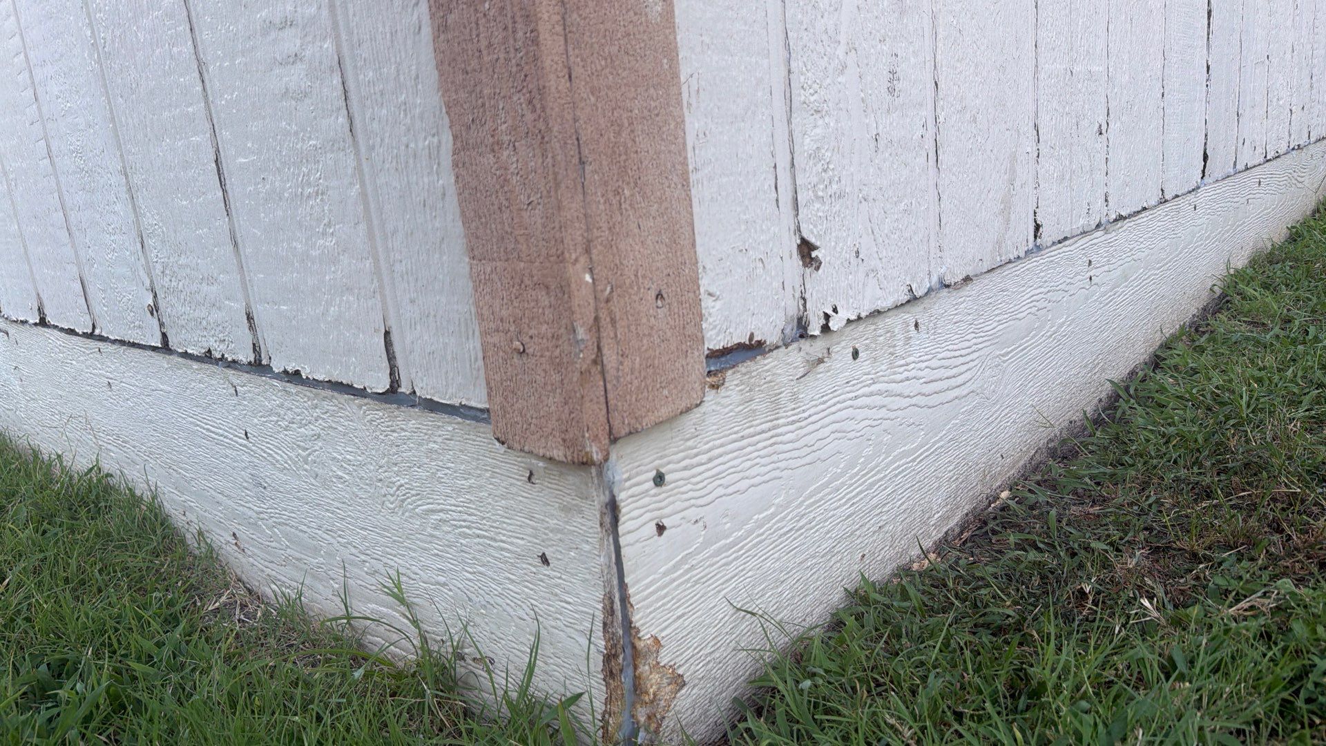 Shedding Bees by Rockwall Honey Bee Company