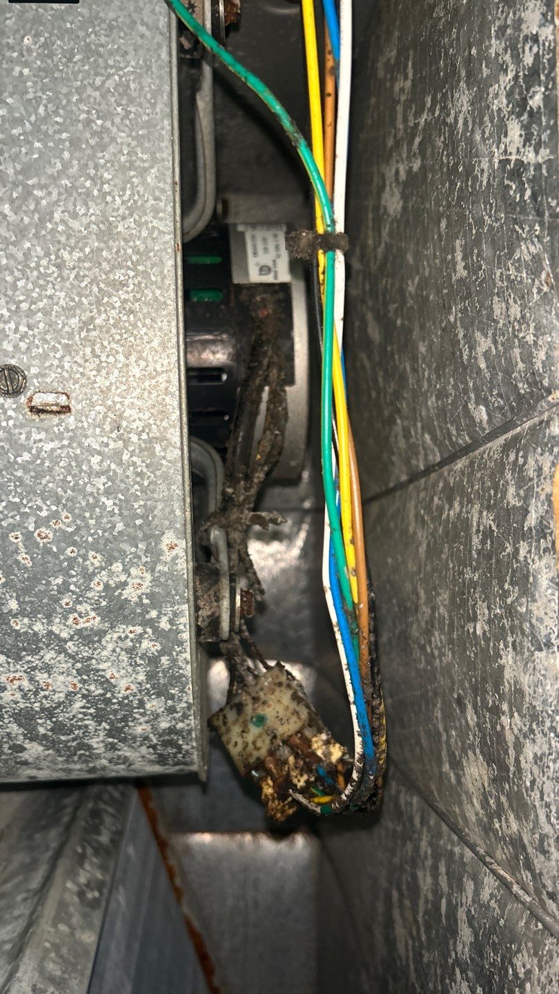 Air Duct Cleaning in Clermont by Hygienic Air, Inc