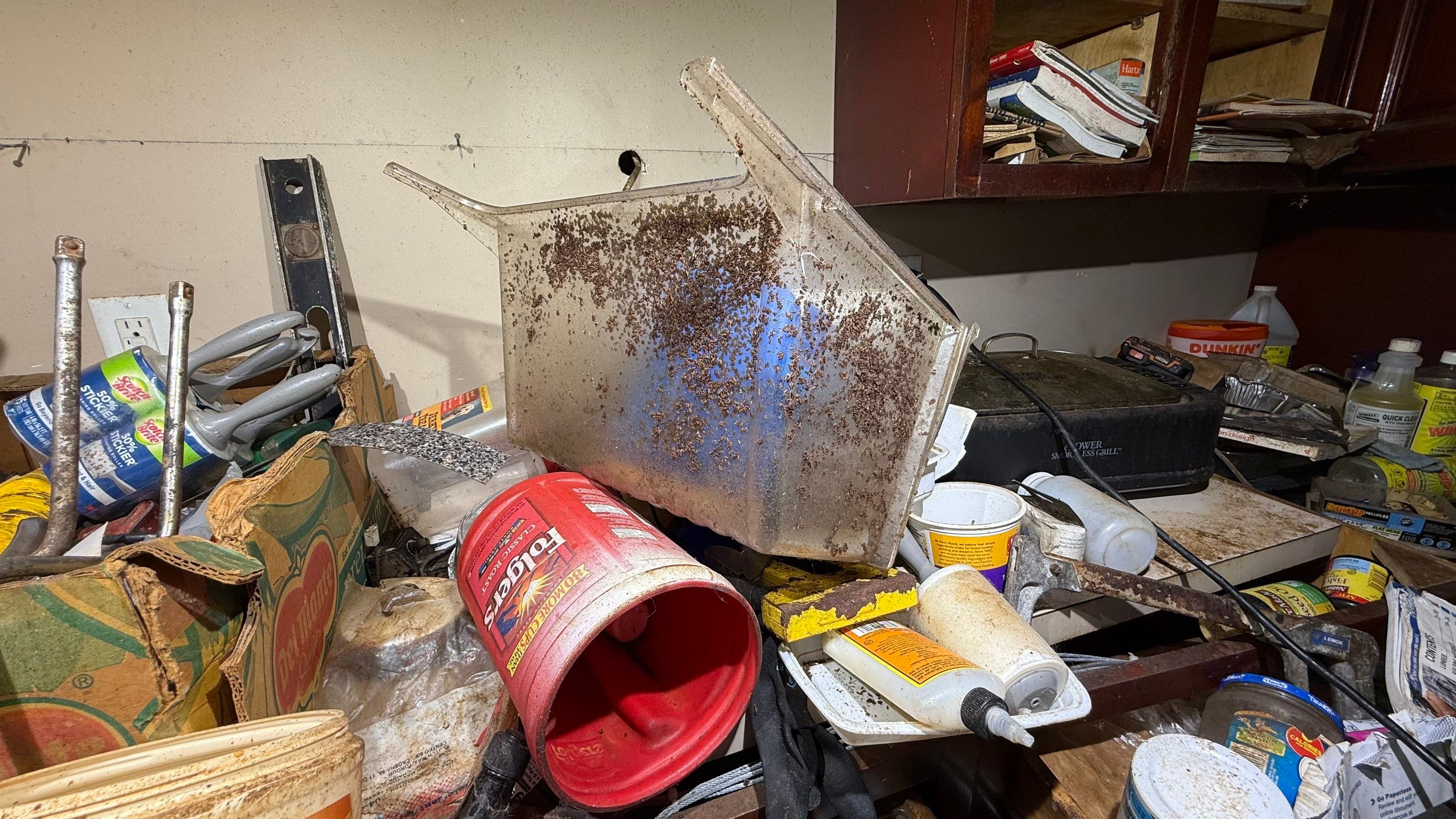 Biohazard Hoarding Cleanup / Animal Feces & Urine Remediation in Preston by Sadie’s Pro Cleaning