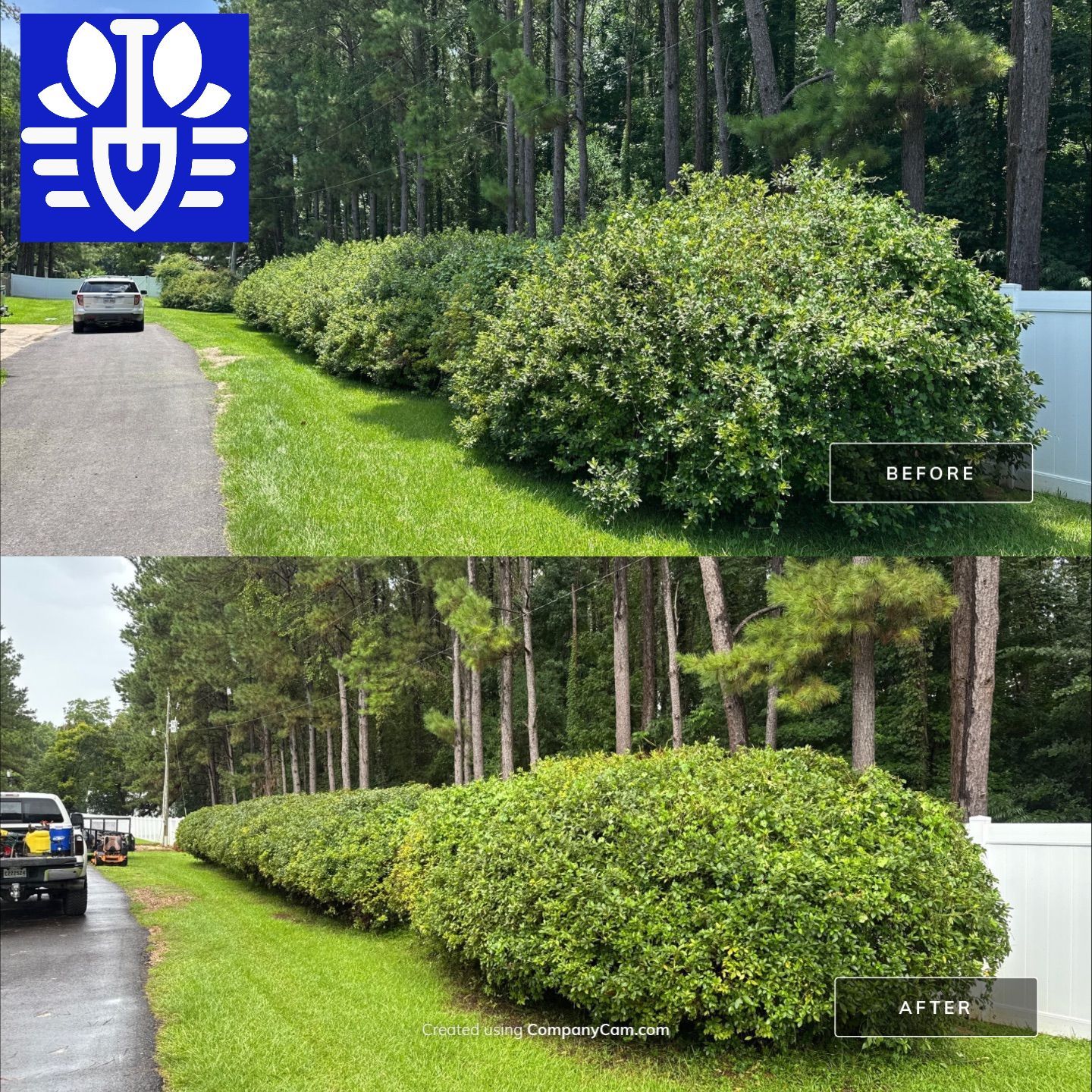 LANDSCAPE LIGHTING & LANDSCAPE CLEAN UP by CutScape, LLC.