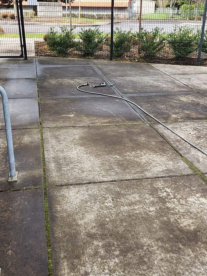 Soft Wash using Soft wash solution by Willamette Outdoor Wash LLC