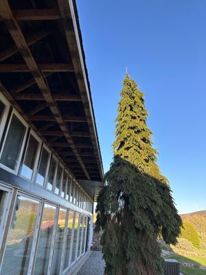 Exterior transformation in Ringtown