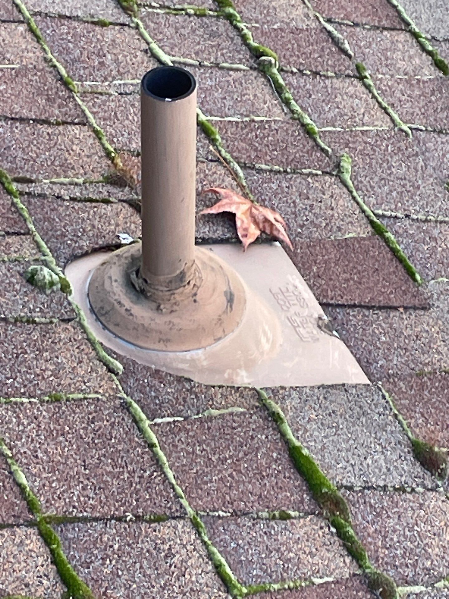 Roof Rejuvenation using Roof Maxx Treatment by Roof Maxx of Folsom