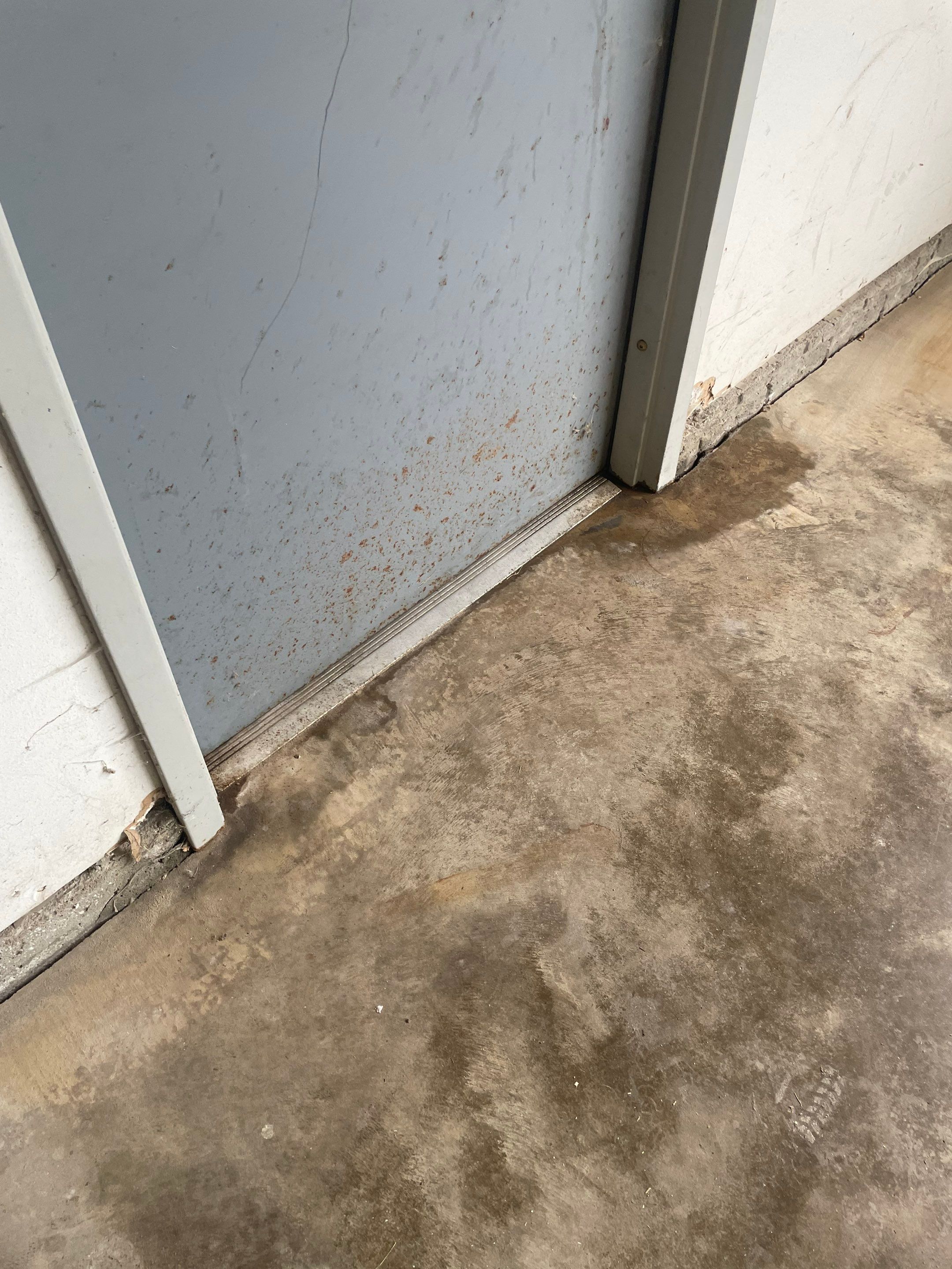 Coyote Flake Concrete Coating for Sioux Falls Garage by Select Painting, Coatings & Garage Cabinets