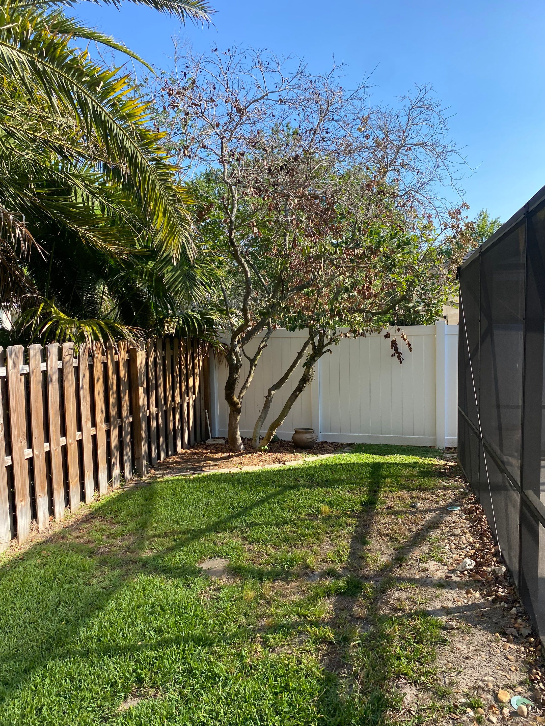 Deerwood Resident | Clean-Up and Sod by ProGreen Services