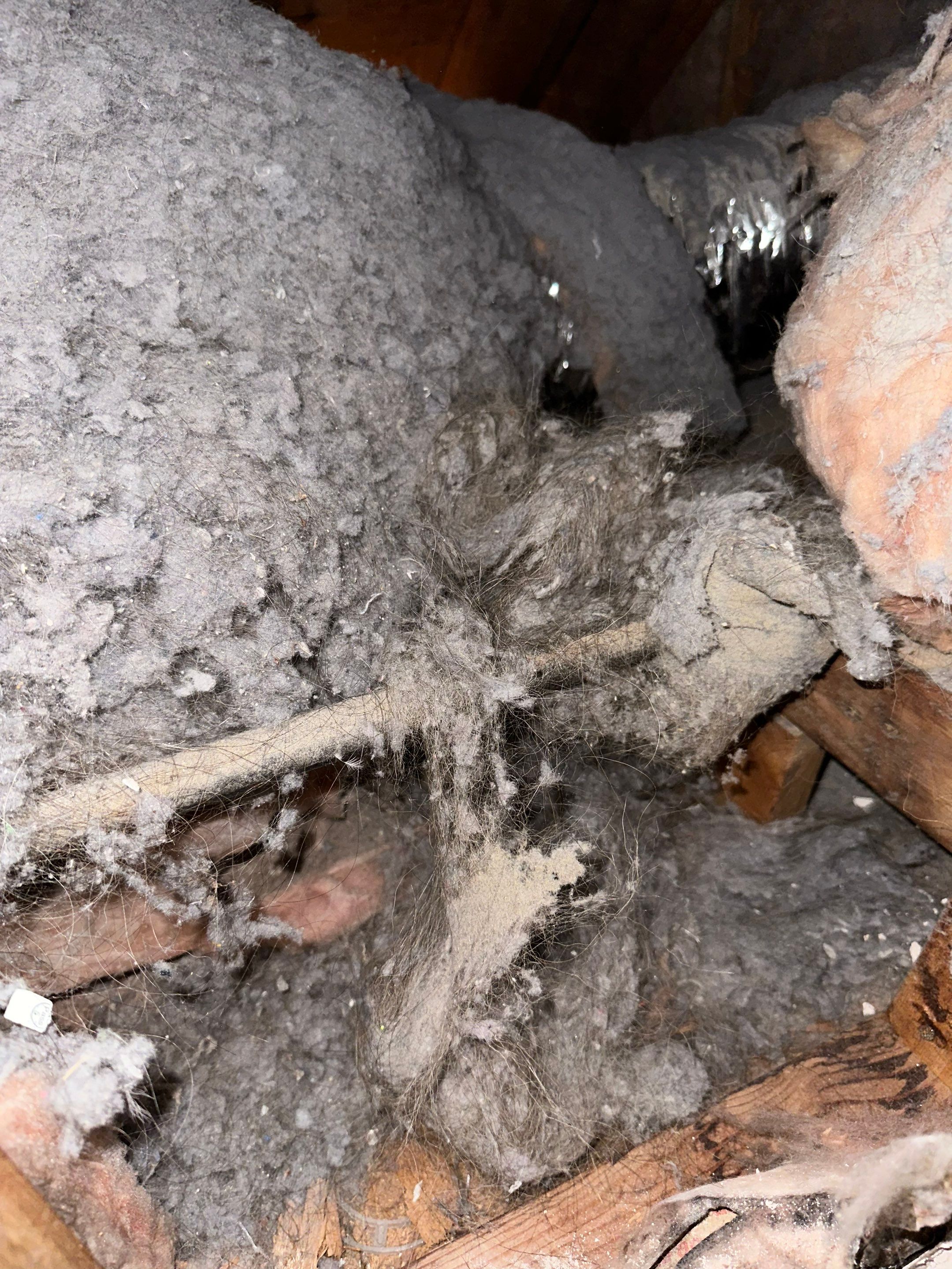 Dryer Vent Replacement by TMS Services