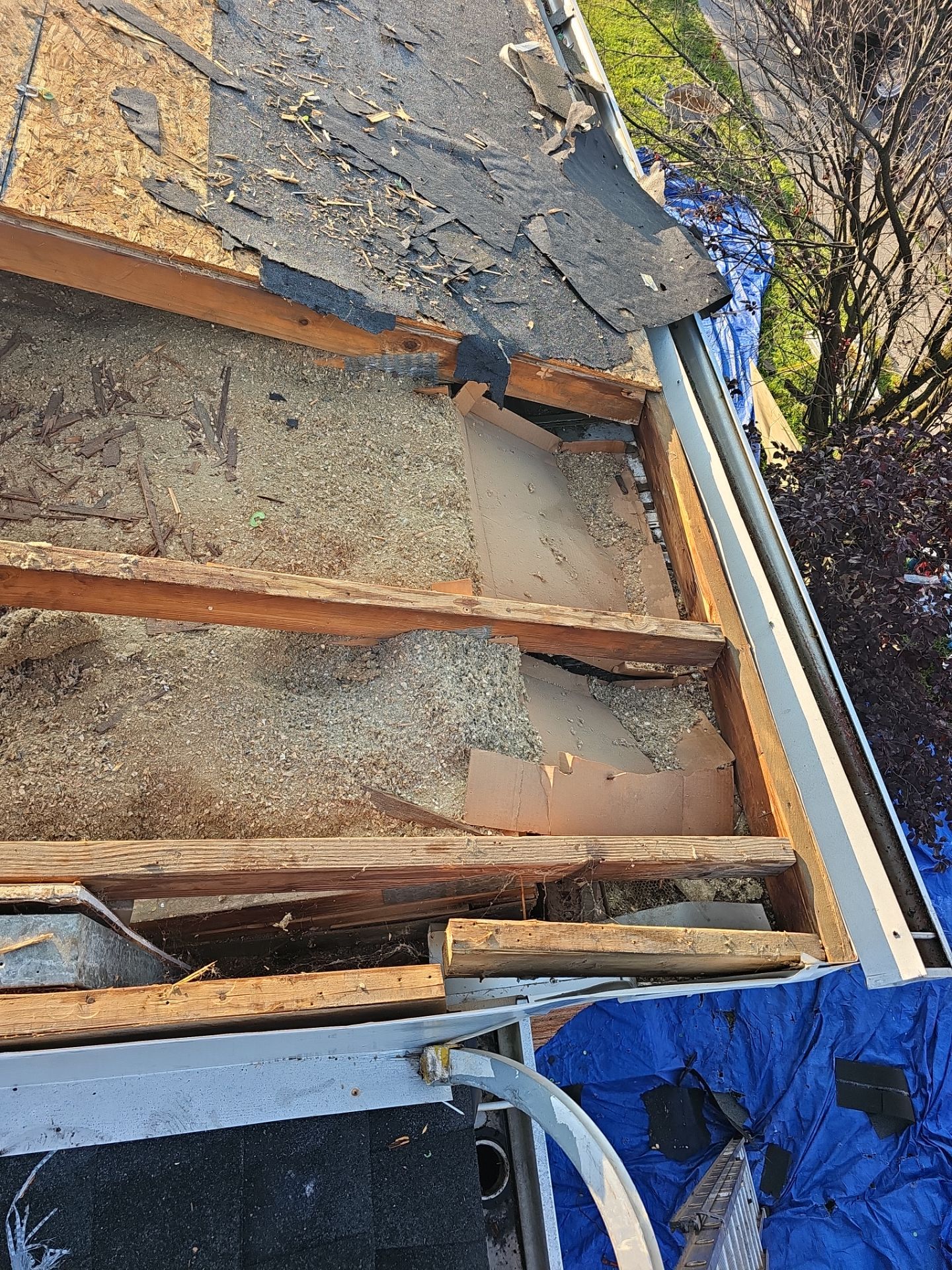 Roof Replacement by Winchester Roofing