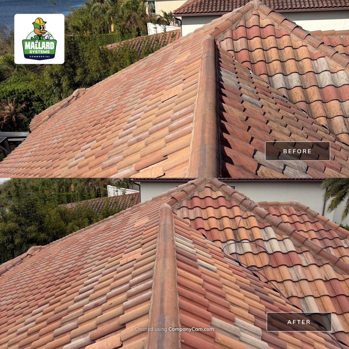 Tile Roof Clean & Seal by Mallard Systems