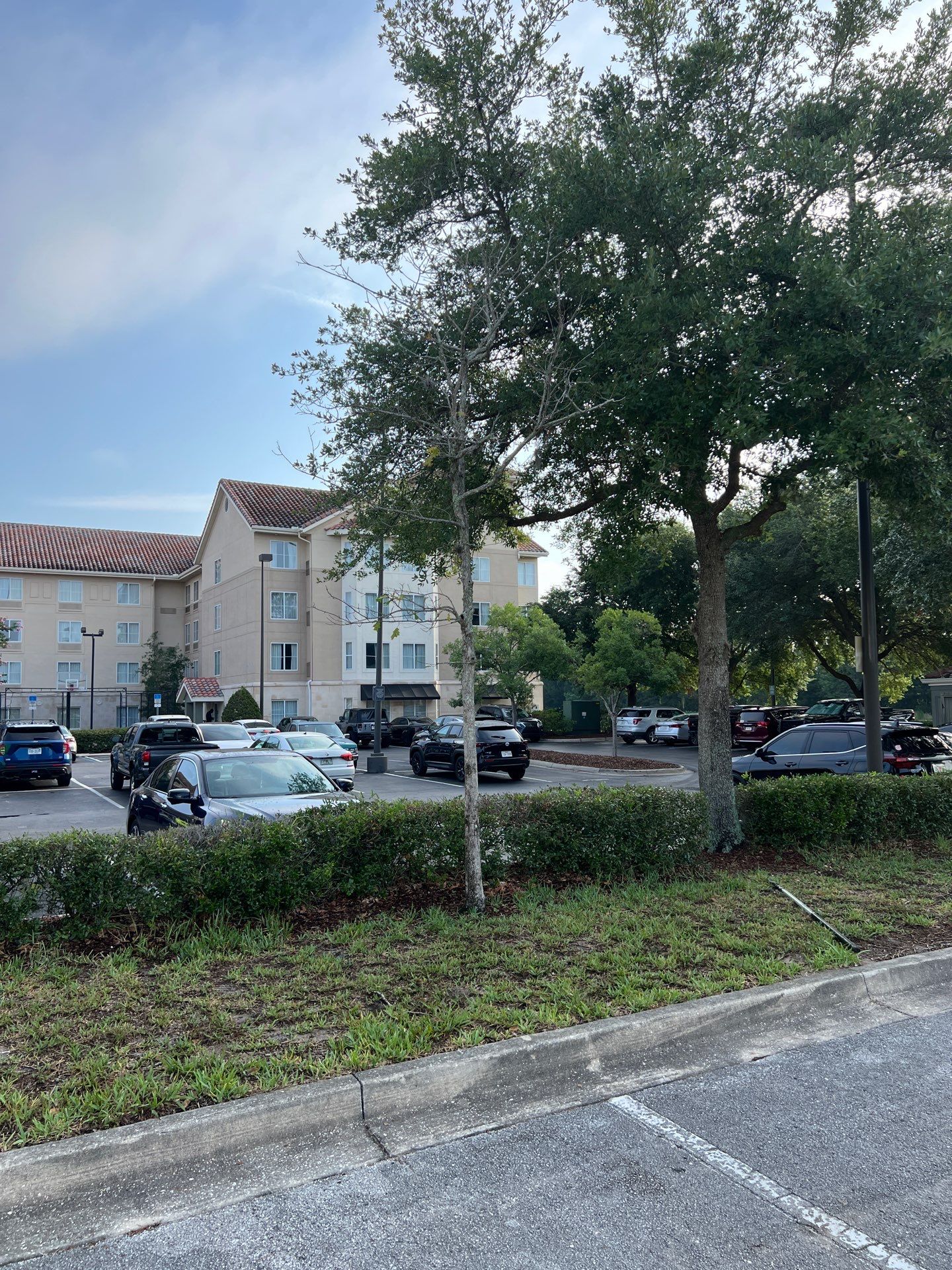 Homewood Suites | Tree Service by ProGreen Services