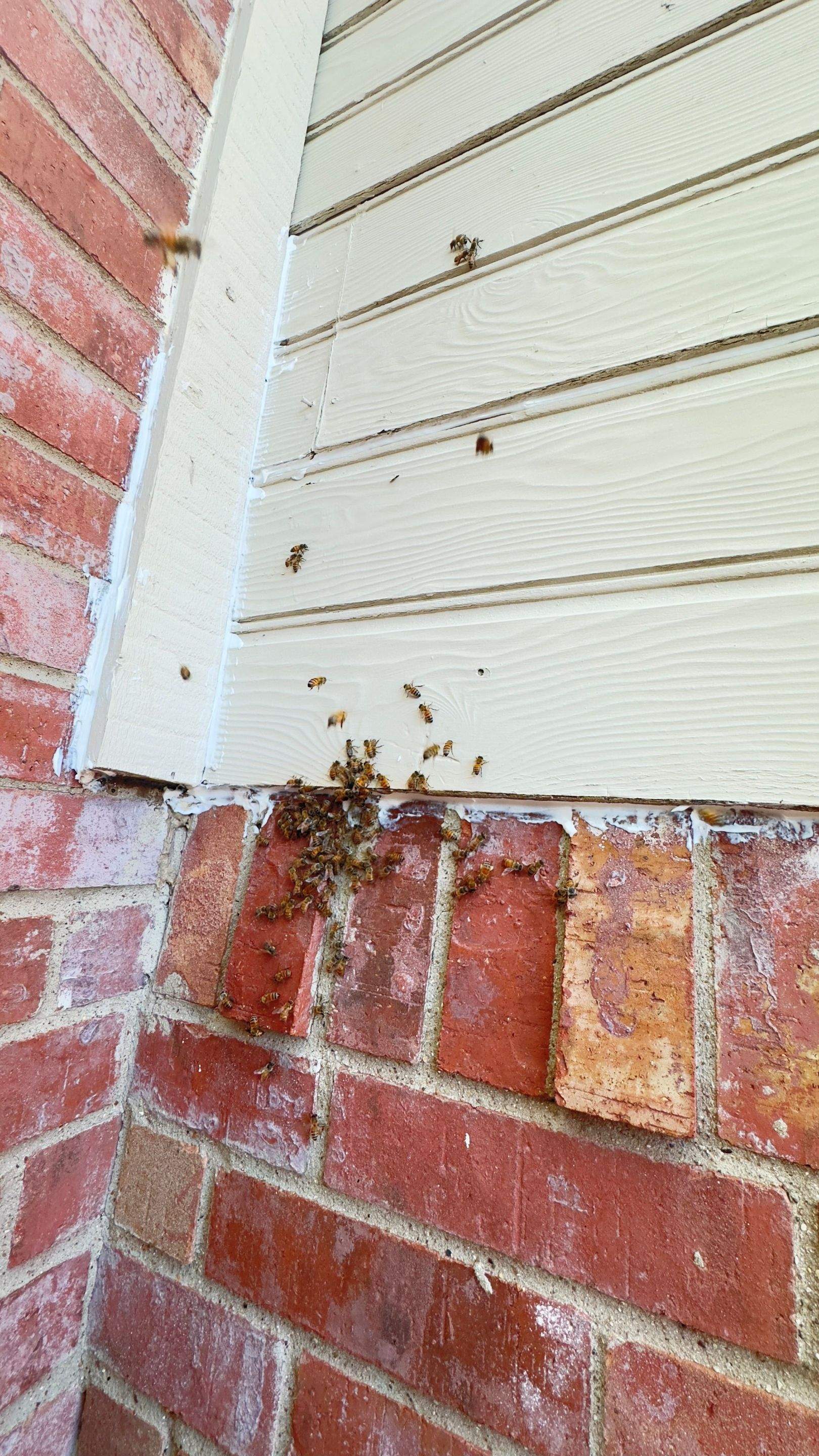 Pest Control Operator Referral by Rockwall Honey Bee Company