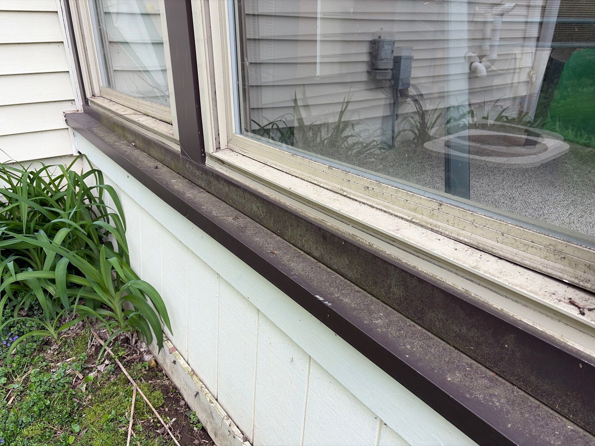 House wash, window clean and screen clean by Shulla Exterior Cleaning