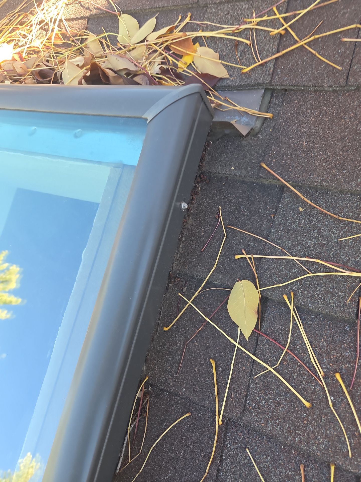 Leaking Skylights by RTP Roofing Company