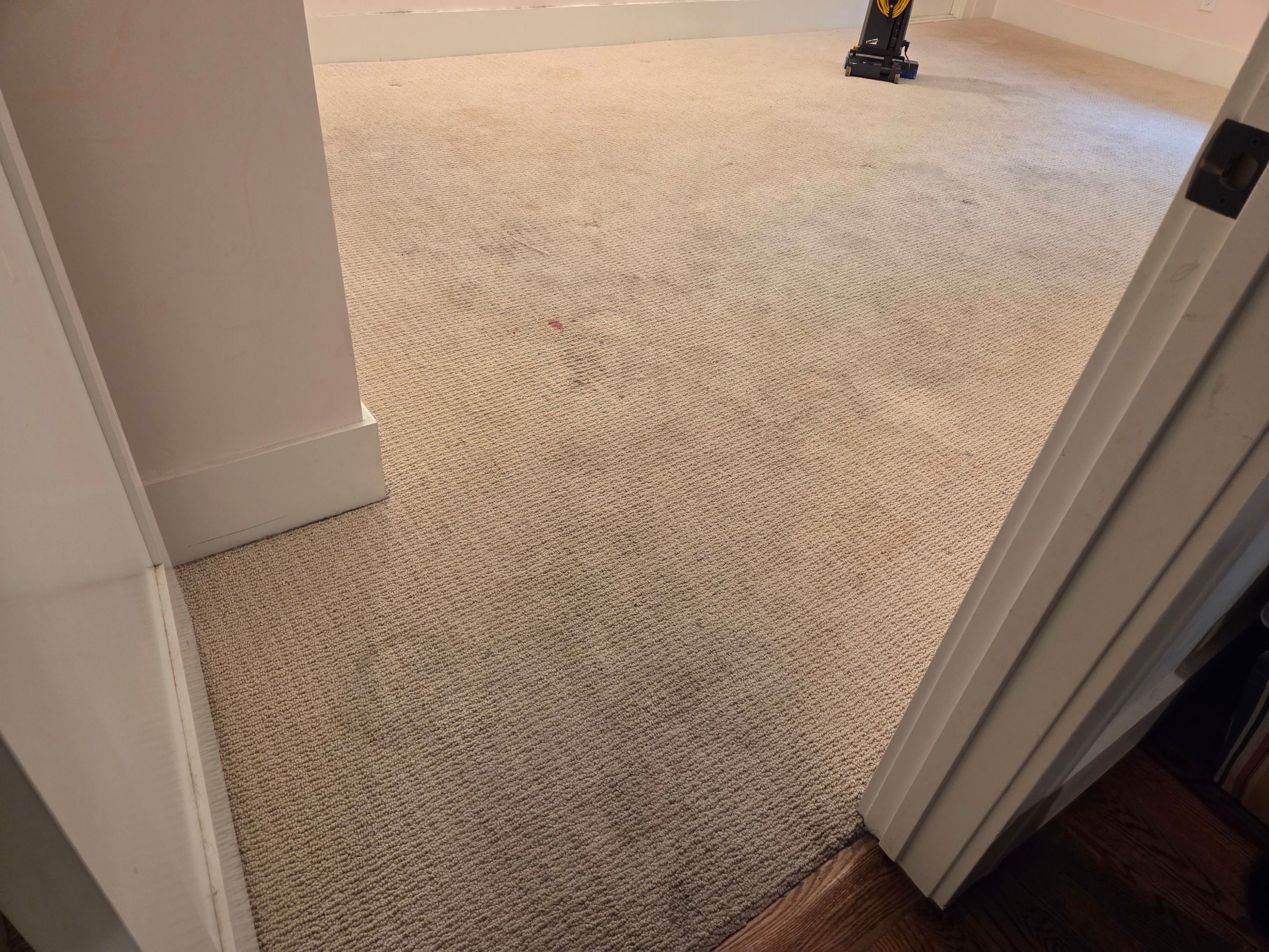 Heavy Carpet Clean with Imperfections by Ardent Carpet Restore LLC