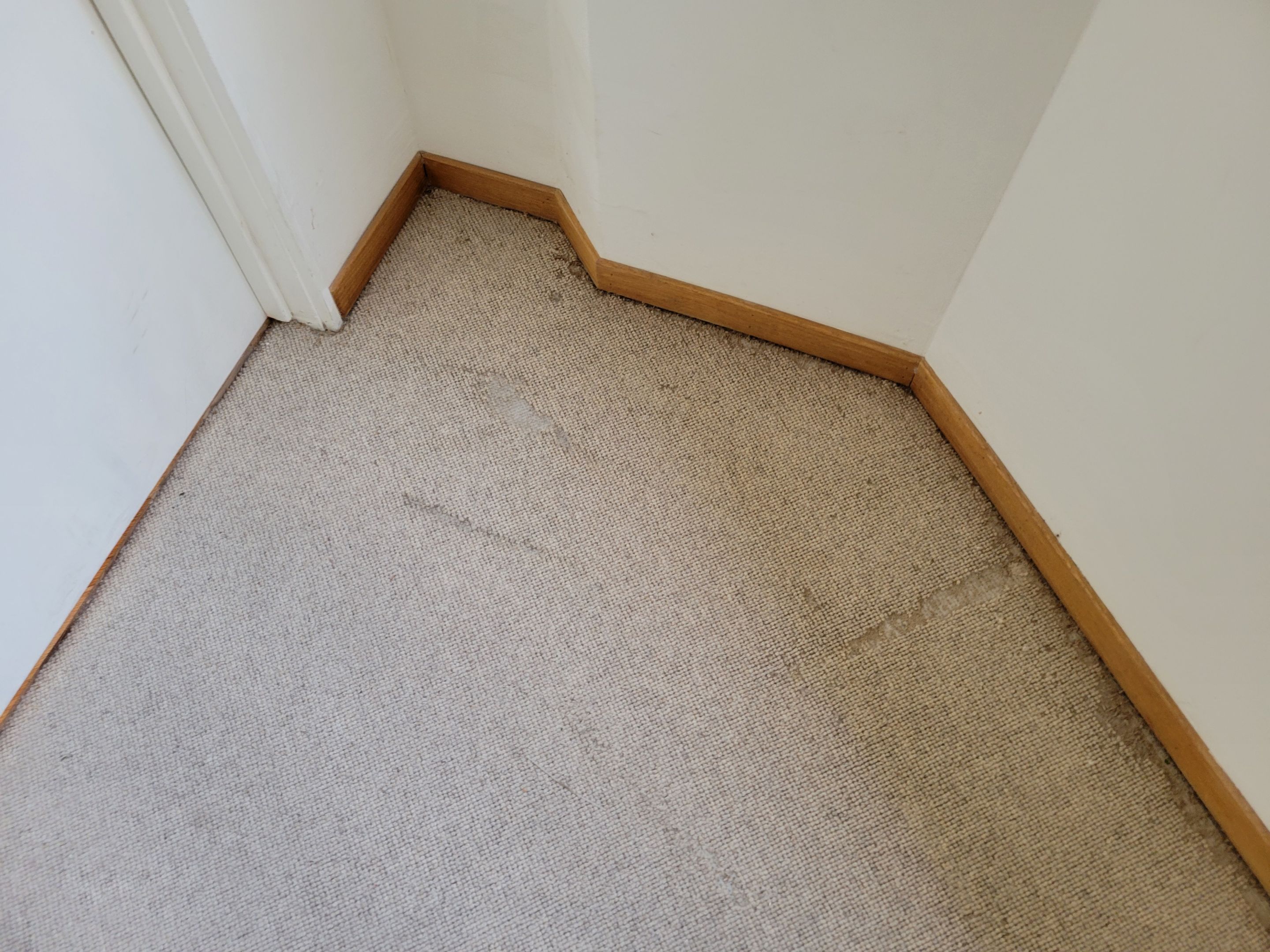 Repair and Cleaning of Wool Carpeting by Ardent Carpet Restore LLC