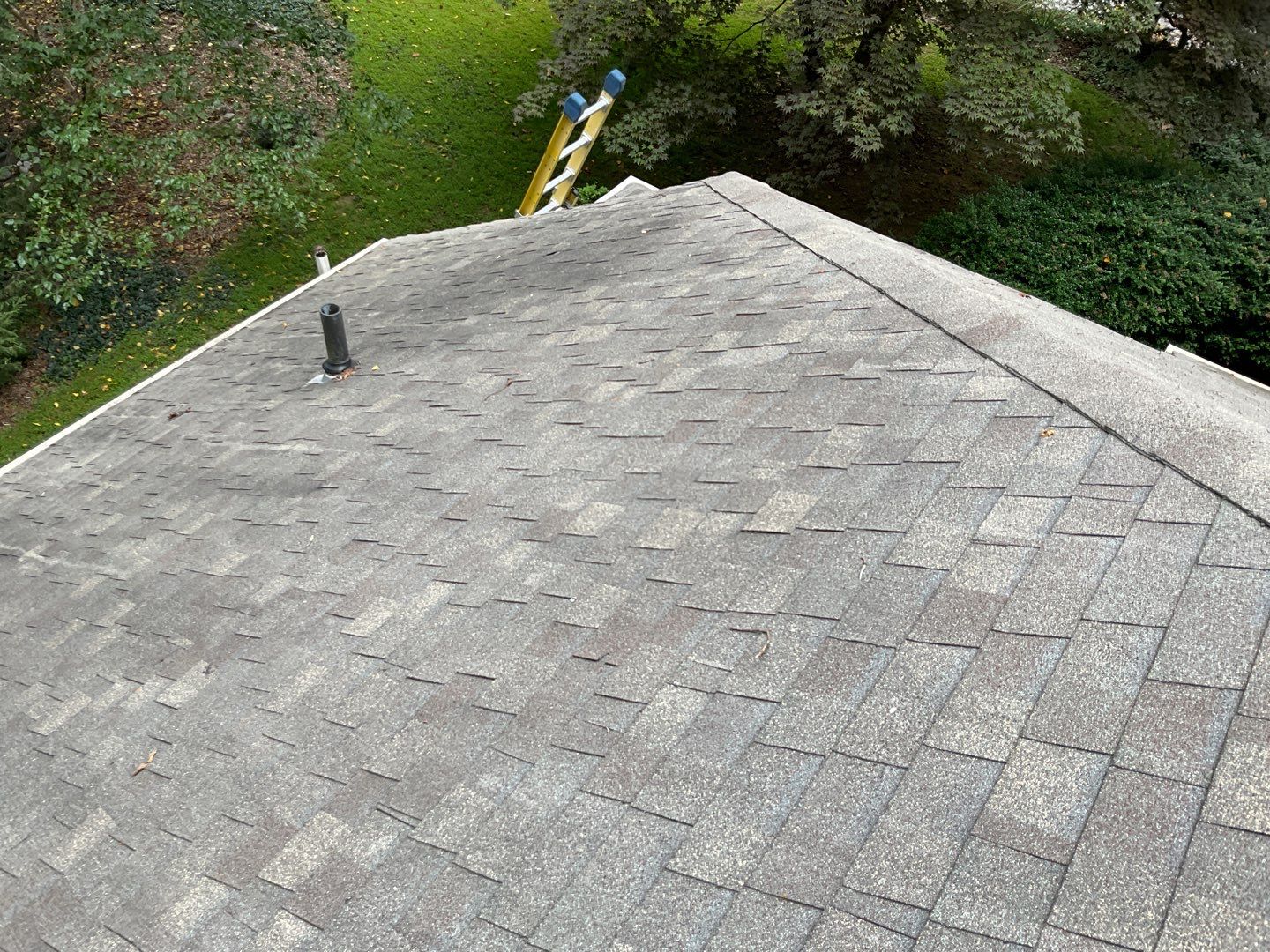 Install new shingles and new skylights  by Alpha Design Services