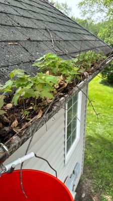 Turtle Shell gutter protection installation in Warrenville, IL 60555, photograph 26