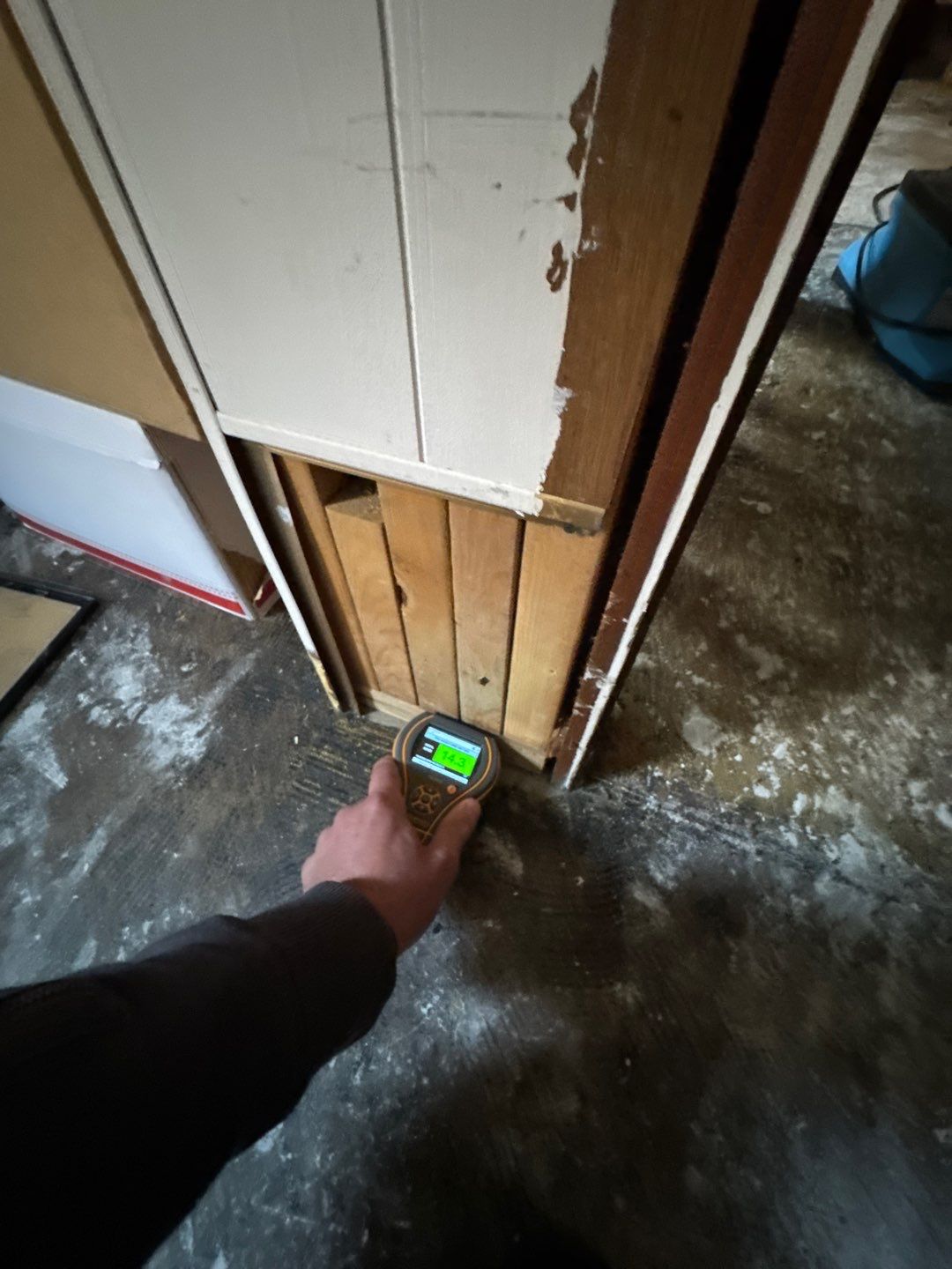 Project in Royal Oak by EzDry Water Mitigation & Property Restoration