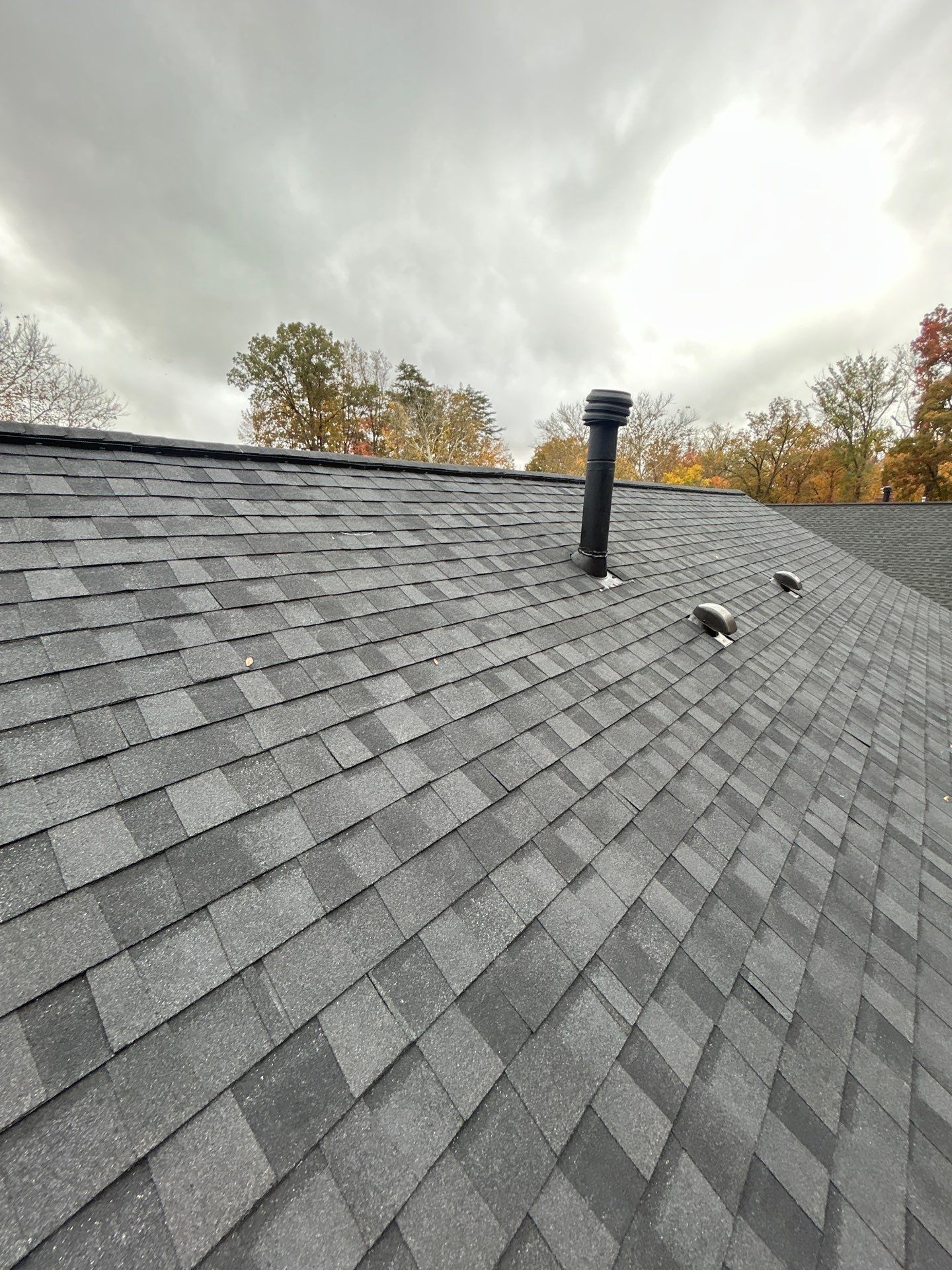 Alexandria :Residential Roof Replacement with CertainTeed Landmark Pro in Max Def Moire Black  by RM Banning, Inc.