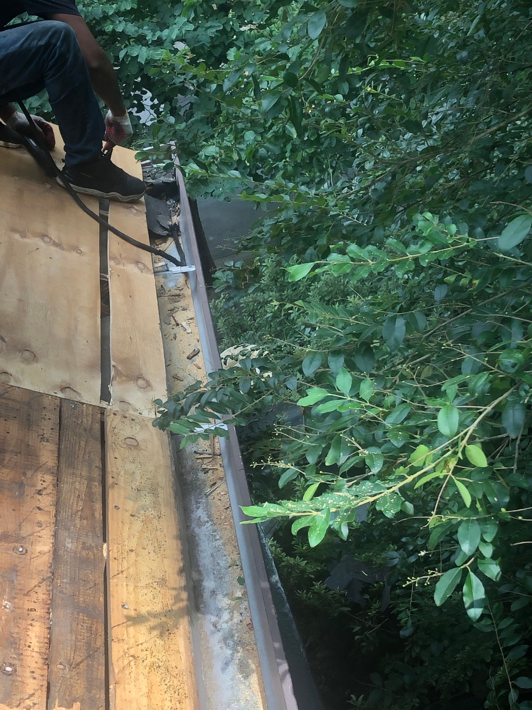 Arlington: CertainTeed Landmark Pro Designer Shingles in Max Def Shenandoah by RM Banning, Inc.