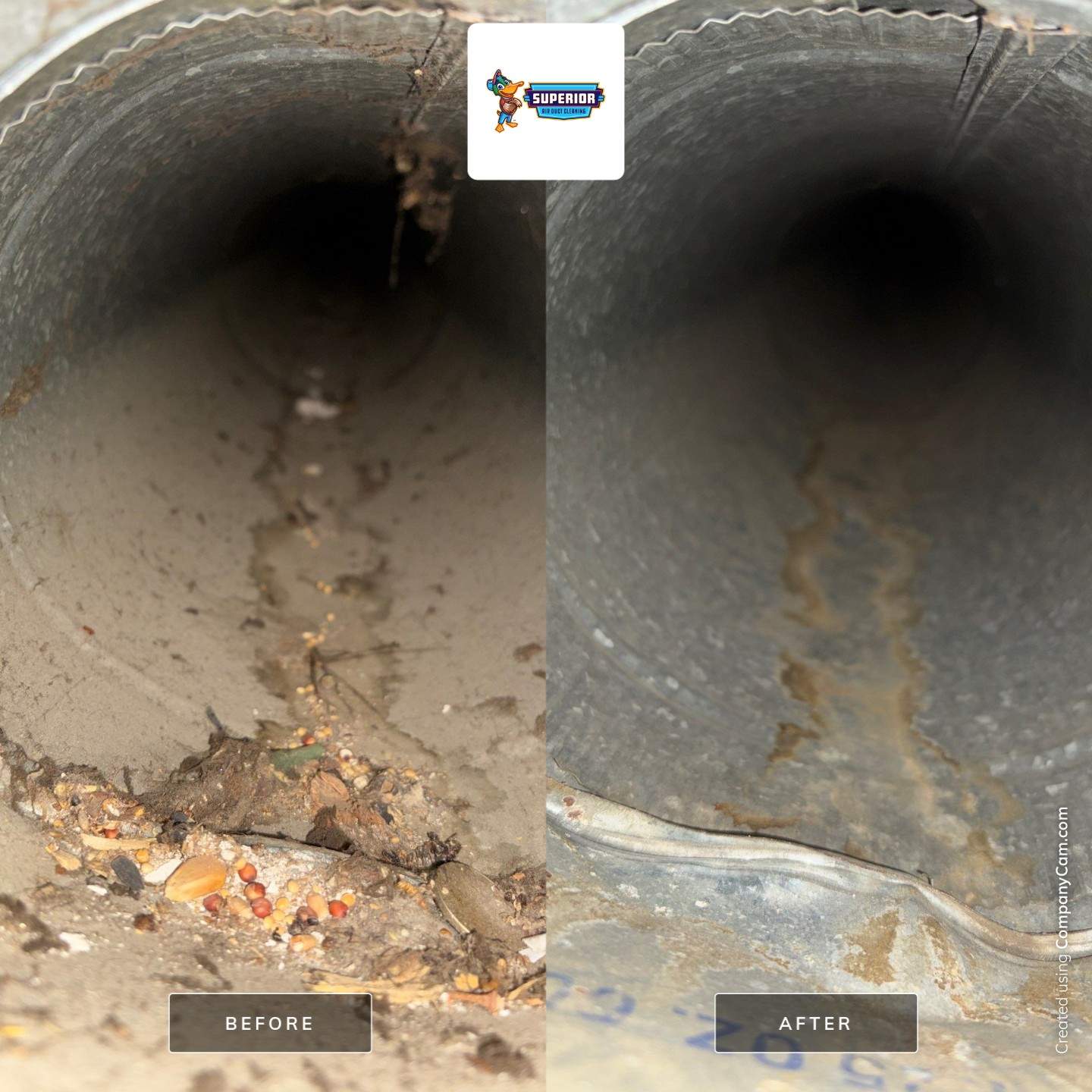 Air Duct Cleaning in Boardman, OH by Superior Air Duct Cleaning