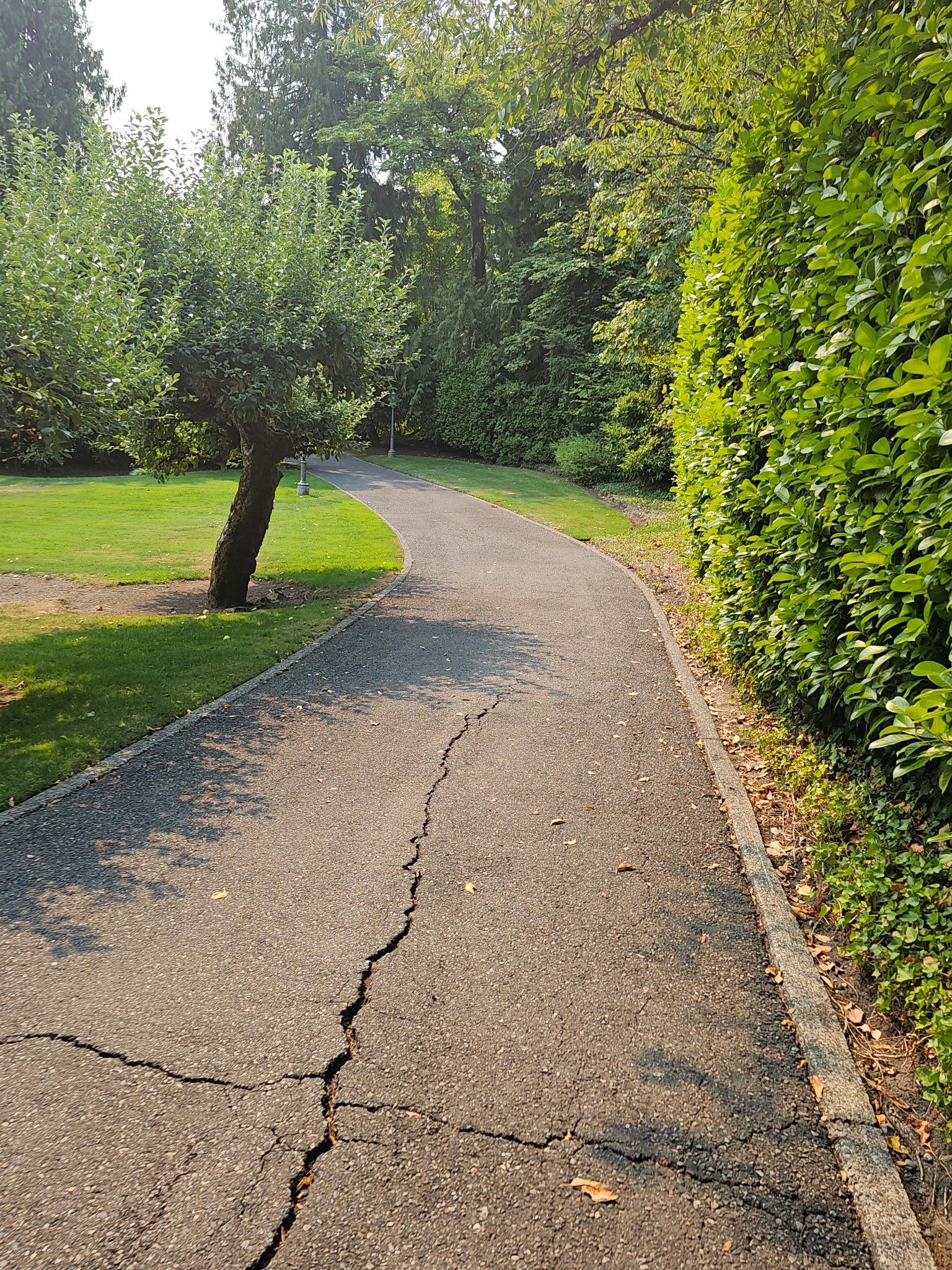 Concrete Slab Installation | Seattle  by Jireh Asphalt & Concrete Inc 