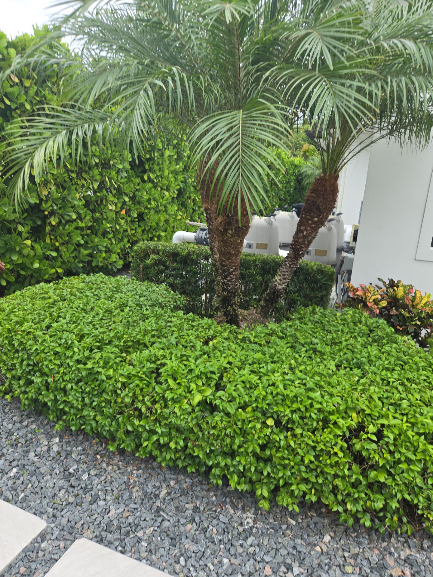 Highlands Reserve Refresh β Precision, Planting & Perfection by Alpha Zeta Enterprises Inc