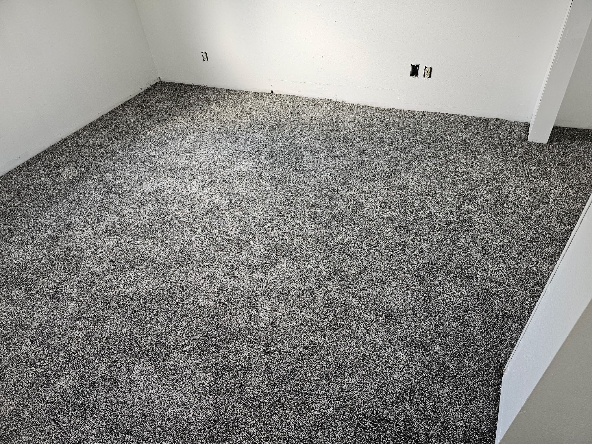 Fresh Carpet, New Comfort in Elwood by Loyal Nine