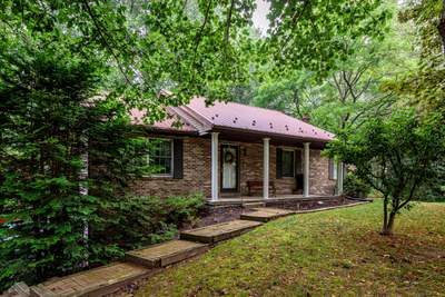 Metal Roof-brown