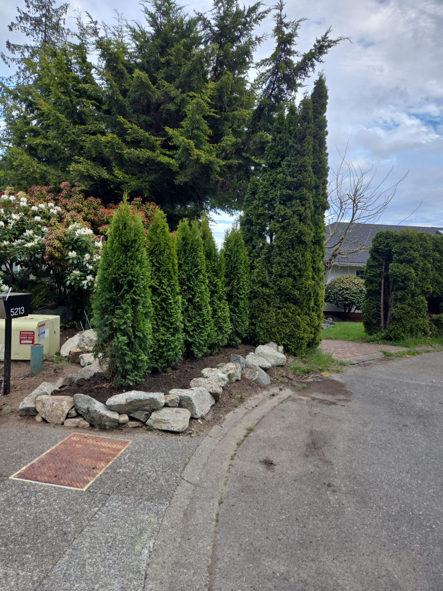 Hedge Installation – Privacy Enhancement and Visual Framing by Habanero Garden and Exterior Care