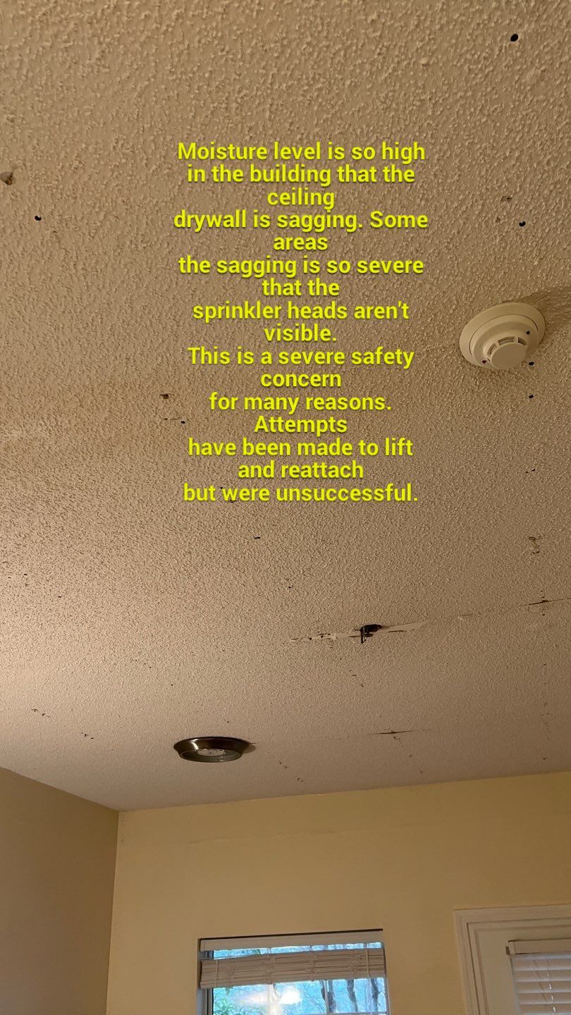 The Gardens of Rome by PC&D