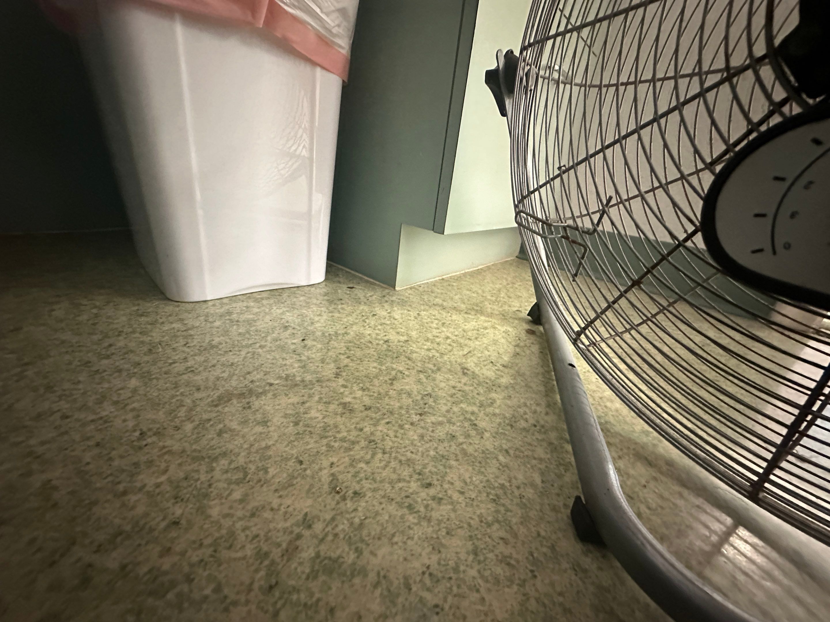 Water Damage Claim in Hollywood by FLAPA & KeyStone