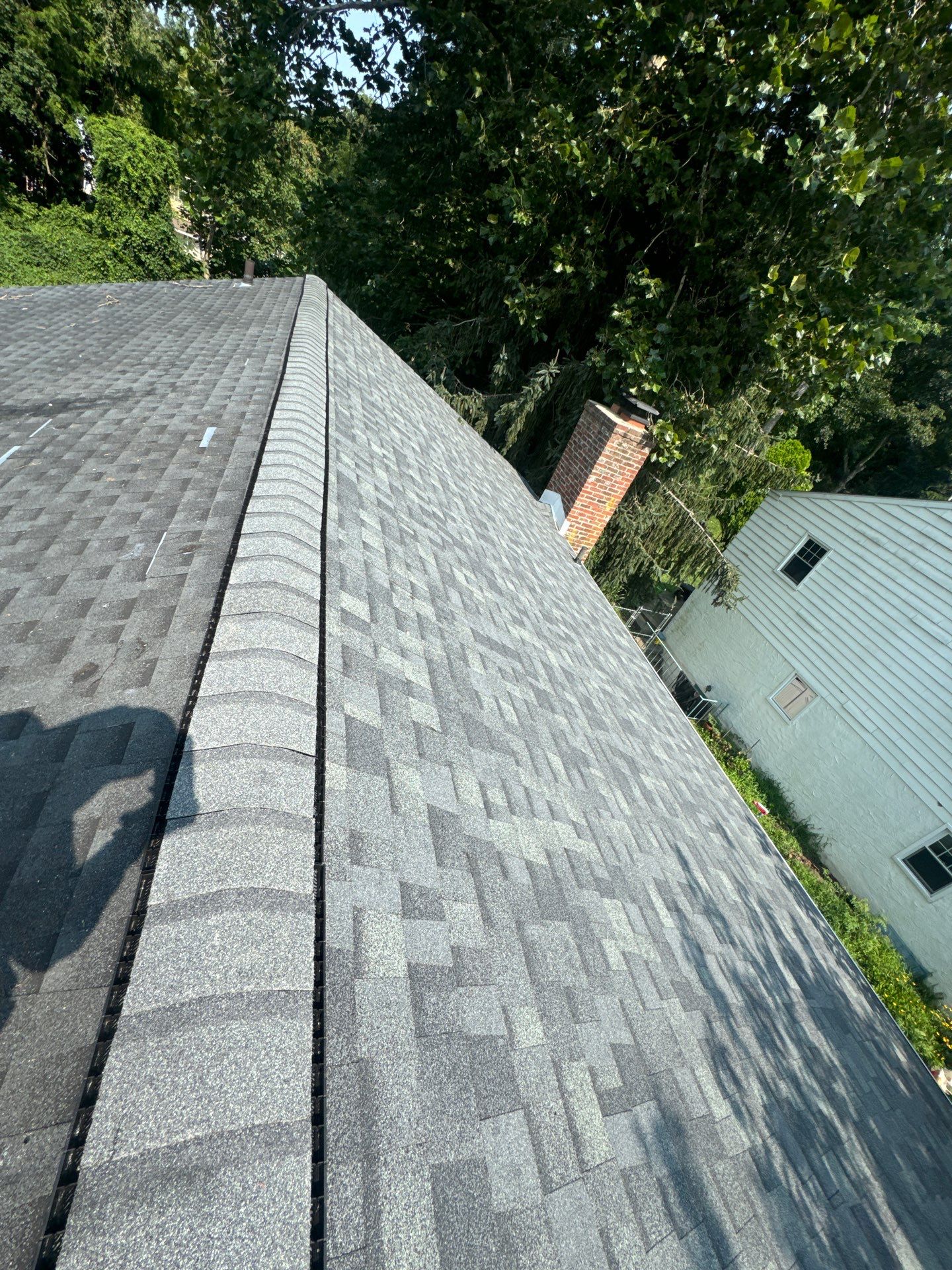 Silver Birch Shingles by Reimagine Roofing