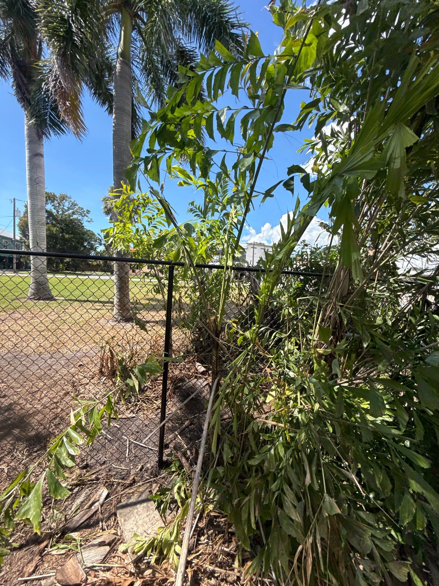 Black Chain Link Fence Installation and Site Clearing in Nokomis by True Fence LLC