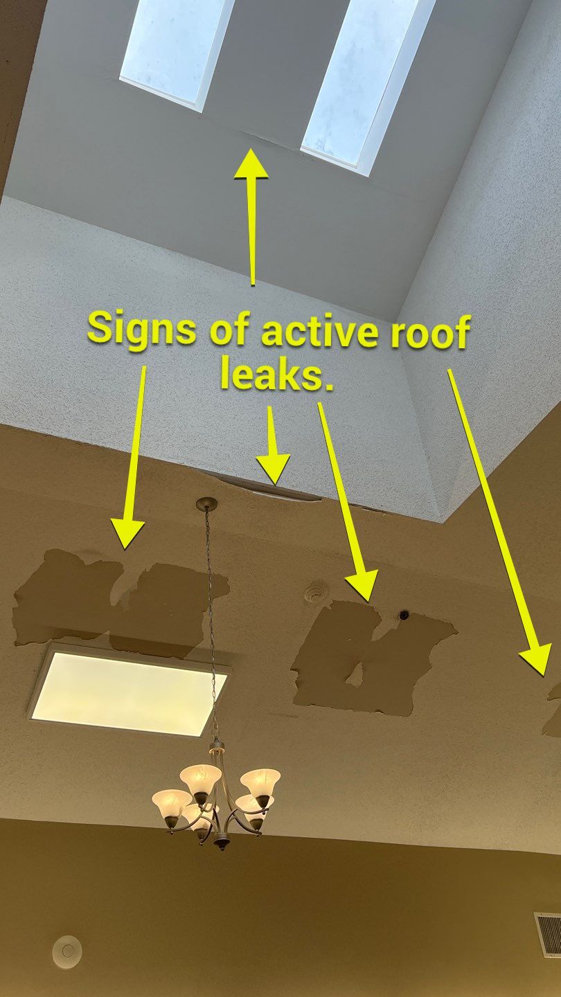 The Gardens of Rome by PC&D