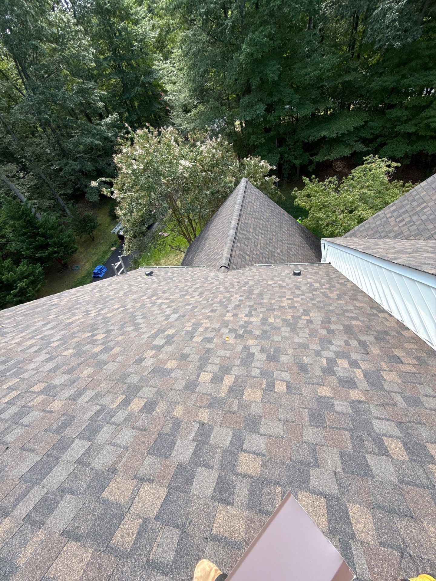 Fairfax station: Residential Roof with CertainTeed Landmark Pro in Max Def Shenandoah  by RM Banning, Inc.