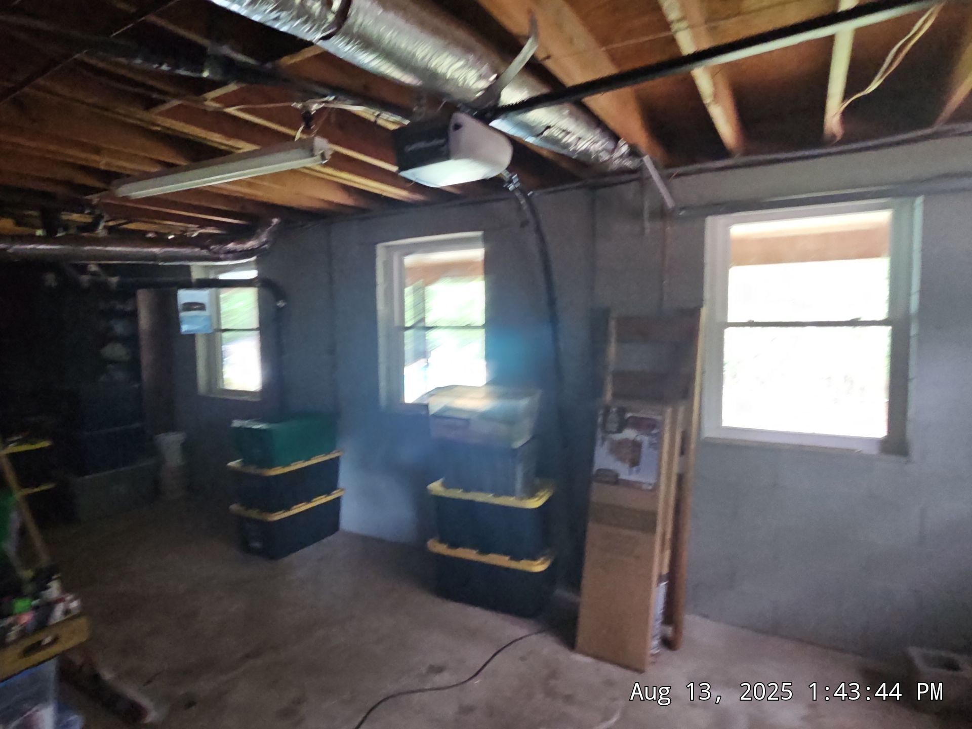 Reed Project in Chelsea by The Window Source